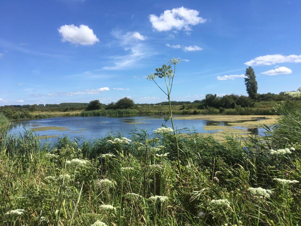 Gastenverblijf Oostdijk Goedereede Exterior foto