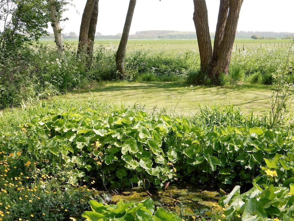 Gastenverblijf Oostdijk Goedereede Exterior foto
