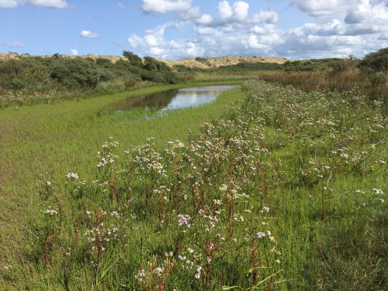 Gastenverblijf Oostdijk Goedereede Exterior foto
